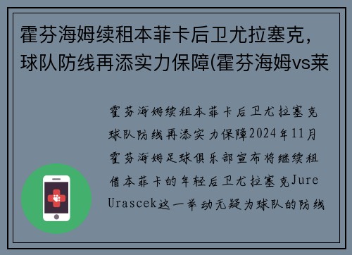 霍芬海姆续租本菲卡后卫尤拉塞克，球队防线再添实力保障(霍芬海姆vs莱比锡红牛比赛结果)